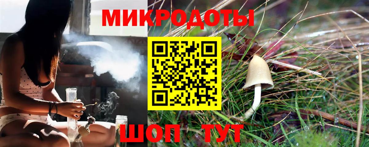 Галлюциногенные грибы Psilocybe  Вход с VPN  Псилоцибиновые грибы Magic Shrooms  где можно купить наркотик  Курчалой 